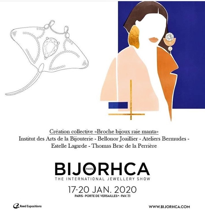 logo du Bijorhca 2020